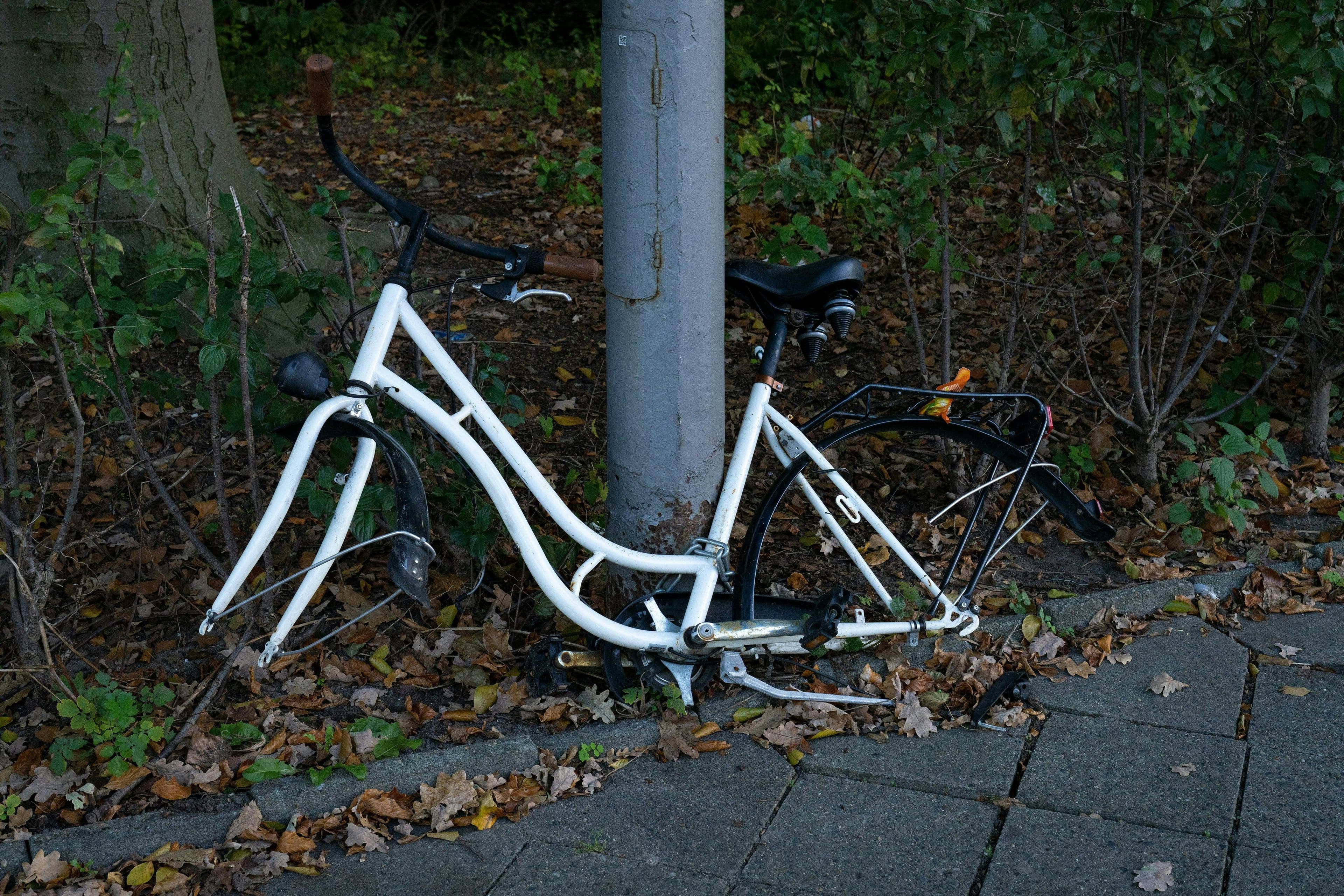 Bicycle Crash Lawyer Auburndale, FL