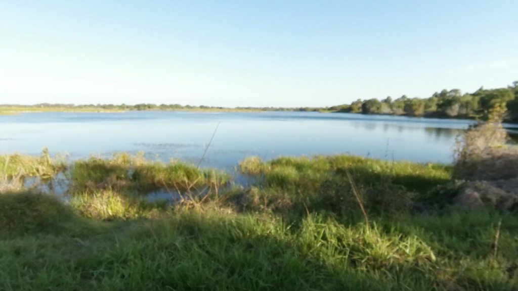 Water at Marshall Hampton Reserve Auburndale, FL